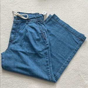 Size 8 Petite ON Drapey Drawcord Wide Leg Denim pants